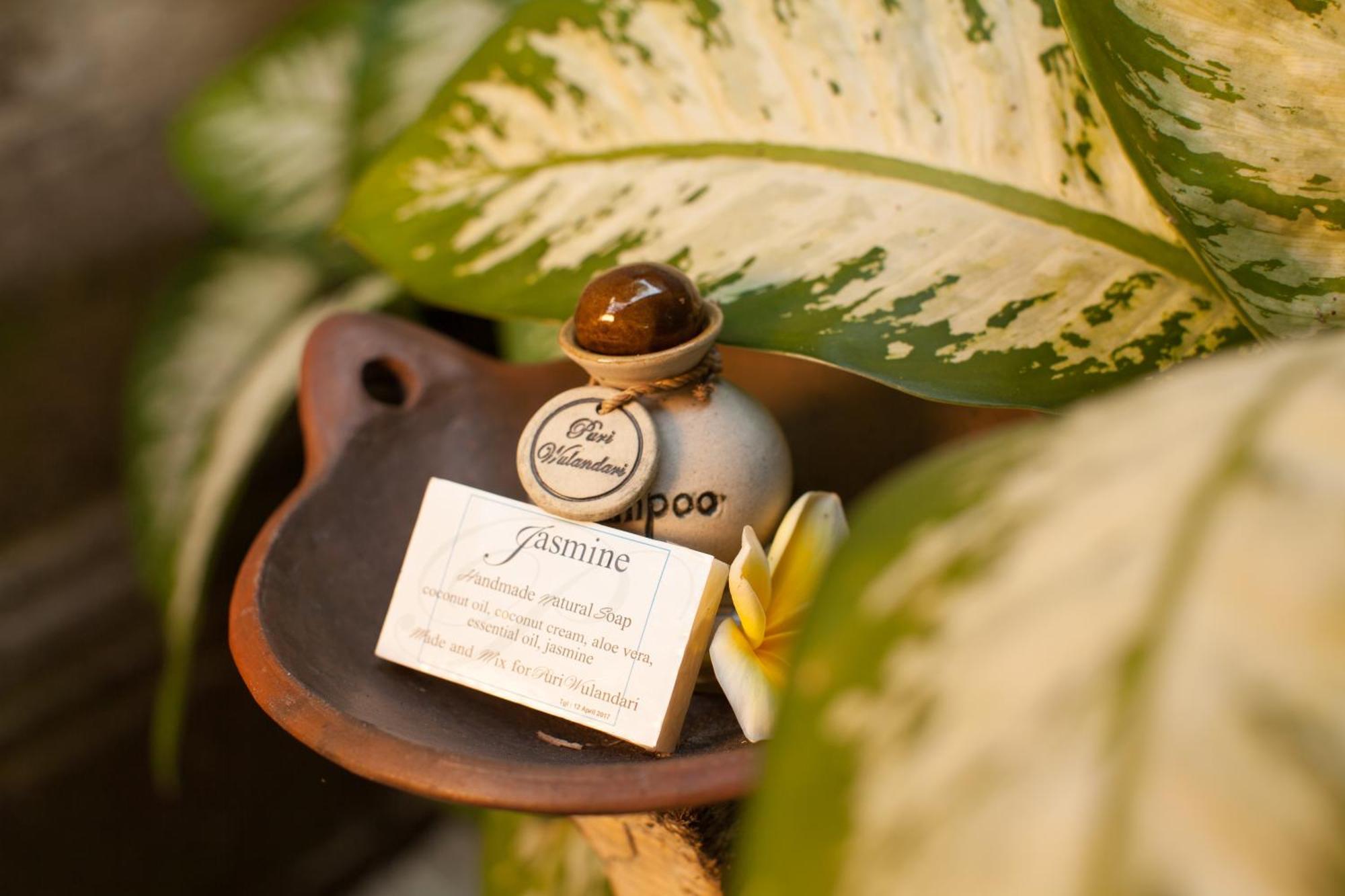 Puri Wulandari A Boutique Resort & Spa Ubud Zewnętrze zdjęcie
