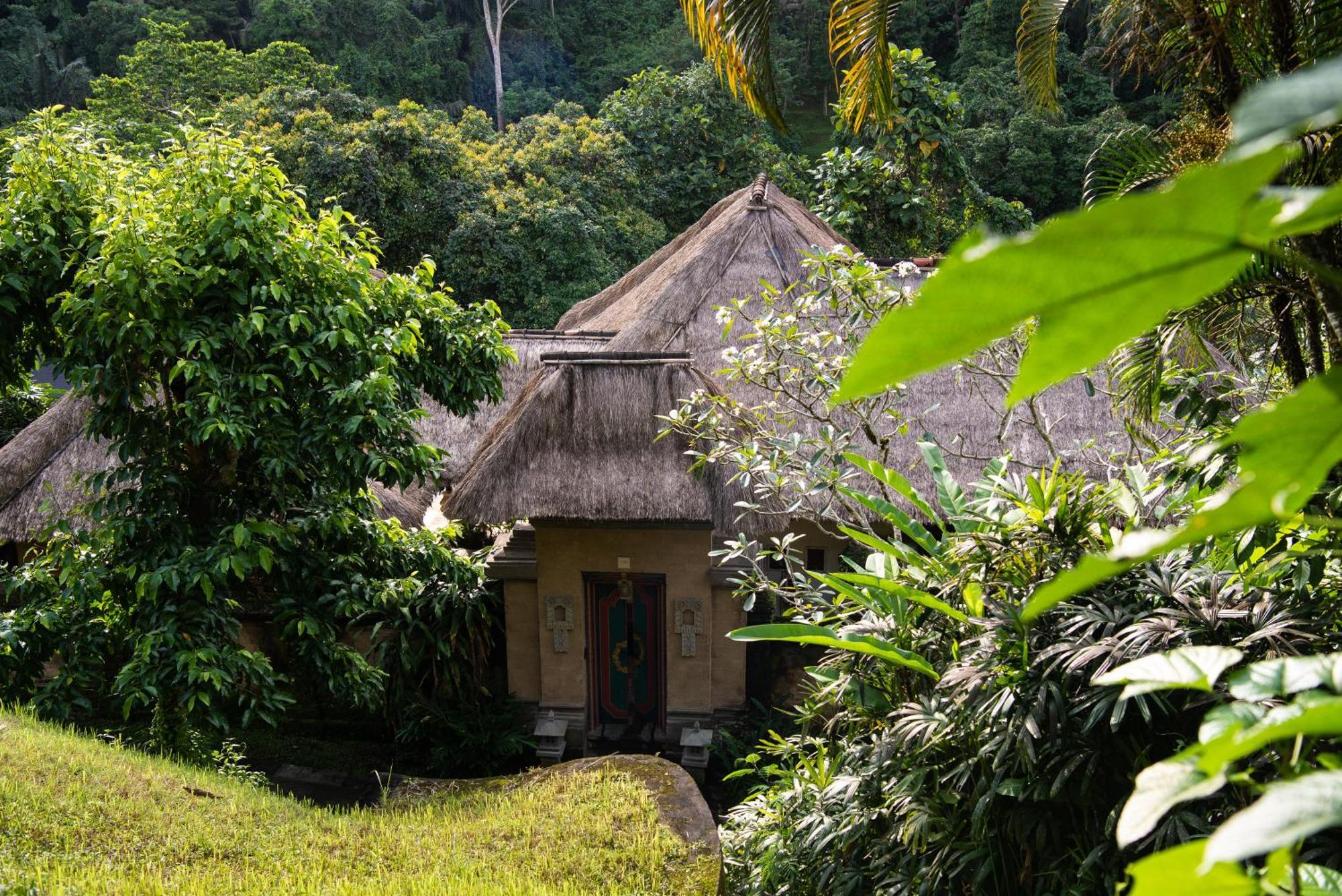 Puri Wulandari A Boutique Resort & Spa Ubud Zewnętrze zdjęcie